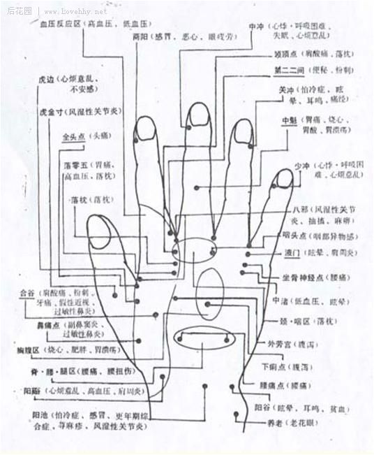 手部穴位图(详解)