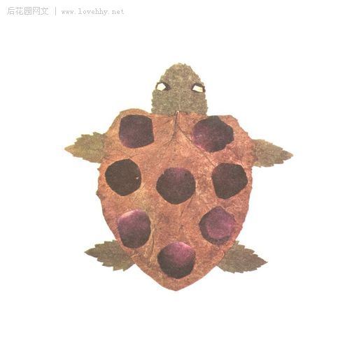 " 小刺猬捡起一片树叶:"这是我的花帽.图片