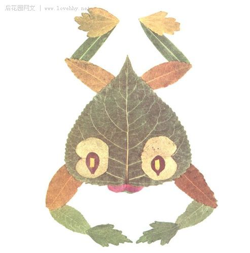 " 小刺猬捡起一片树叶:"这是我的花帽.图片