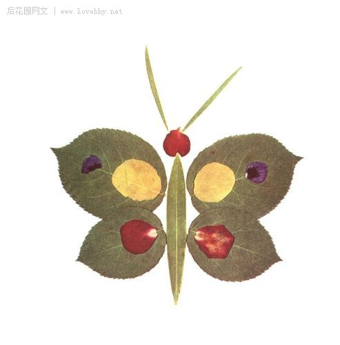 " 小刺猬捡起一片树叶:"这是我的花帽.图片